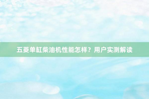 五菱单缸柴油机性能怎样？用户实测解读