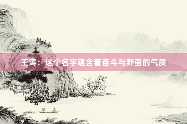 王涛：这个名字蕴含着奋斗与野蛮的气质